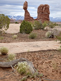 Balanced Rock on a Cloudy Morning, Arches National Park, Utah, USA
