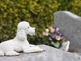 Buy Asnieres Animal Cemetery, Asnieres, Hauts De Seine, France, Europe at AllPosters.com
