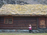 Buy Sod-Roofed Home in Flam, Norway, Scandinavia, Europe at AllPosters.com
