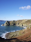 Gammon Head and Elander Cove, Devon, England, United Kingdom, Europe