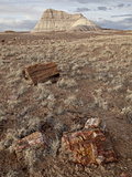 Buy Petrified Wood and An Eroded Hill, Petrified Forest National Park, Arizona at AllPosters.com