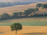 Buy Val D'Orcia, Siena Province, Tuscany, Italy, Europe at AllPosters.com