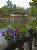 Buy Colourful Flowers at the Summer Palace, Lhasa, Tibet, China, Asia at AllPosters.com