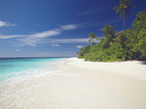Buy Tropical Island and Lagoon, Maldives, Indian Ocean, Asia at AllPosters.com