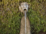 Buy Detail of the Fountain of the 100 Faces in Villa D'Este, Tivoli, Lazio, Italy, Europe at AllPosters.com