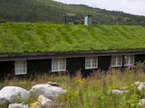 Buy House With Green Roof, Near Tinn, Telemark, Norway, Scandinavia, Europe at AllPosters.com