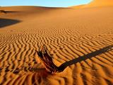 Erg Ubari Desert, Ubari, Libya, North Africa, Africa