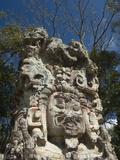 Buy Stela D Dating From 736 Ad, Copan Archaeological Park, UNESCO World Heritage Site, Honduras at AllPosters.com