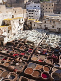 Tannery, Fez, UNESCO World Heritage Site, Morocco, North Africa, Africa