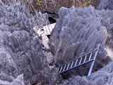 Buy Coral Formations, Tsingy De Bemaraha, UNESCO World Heritage Site, Madagascar, Africa at AllPosters.com