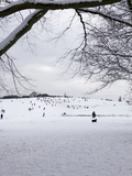 Buy People Sledging on a Snow Covered Hill, Hampstead Heath, London, England, United Kingdom, Europe at AllPosters.com
