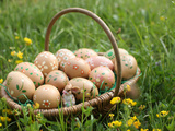Easter Eggs in a Basket, Haute-Savoie, France, Europe Fotografie-Druck