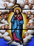 Stained Glass of the Virgin Mary in Saint-Louis Cathedral, Blois, Loir-Et-Cher, France, Europe