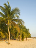 Buy White Sand Beach, Playa Ancon, Trinidad, Cuba, West Indies, Caribbean, Central America at AllPosters.com