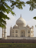 Buy Taj Mahal, UNESCO World Heritage Site, Agra, Uttar Pradesh, India, Asia at AllPosters.com