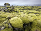 Lava Field Covered in Green Moss, South Iceland, Iceland, Polar Regions