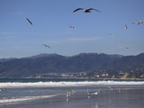 Beach, Santa Monica, Malibu Mountains, Los Angeles, California