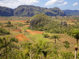 Agriculture in the Dramatic Valle De Vinales, Pinar Del Rio Province, Cuba