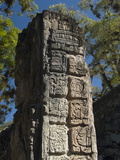 Mayan Glyphs on the Side of Stela, Copan Archaeological Park, UNESCO World Heritage Site, Honduras