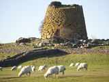Nuraghe Succurronis, Macomer, Sardinia, Italy, Europe