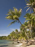 Bocas Del Drago, Isla Colon, Bocas Del Toro, Panama, Central America