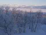Buy Snow-Covered Scenery, Abisko, Sweden, Scandinavia, Europe at AllPosters.com