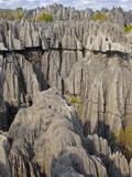 Buy Coral Formations, Tsingy De Bemaraha, UNESCO World Heritage Site, Madagascar, Africa at AllPosters.com