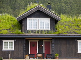 Buy House With Green Roof, Near Tinn, Telemark, Norway, Scandinavia, Europe at AllPosters.com
