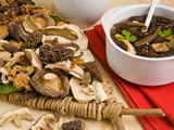 Dried Mushrooms, Ceps, Morels, Shitake and Chanterelles, Italy, Europe