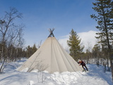 Buy Sami Man Closes the Flap on His Lavvu Tent at His Homestead, Kiruna, Lapland, Arctic Sweden at AllPosters.com