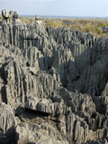 Buy Coral Formations, Tsingy De Bemaraha, UNESCO World Heritage Site, Madagascar, Africa at AllPosters.com