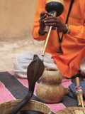 Snake Charmer, Rajasthan, India, Asia
