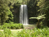 Millaa Millaa Falls, Atherton Tablelands, Queensland, Australia, Pacific