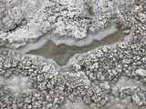Buy Crystallized Minerals at the Artemesia Geyser Pool, Yellowstone National Park, Wyoming, USA at AllPosters.com