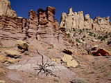 Rock Formations and Dead Juniper, Grand Staircase-Escalante National Monument, Utah, USA