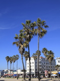 Venice Beach, Los Angeles, California, United States of America, North America