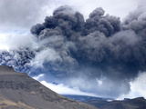 Buy Billowing Ash Plume of the Eyjafjallajokull Eruption, Southern Area, Iceland, Polar Regions at AllPosters.com