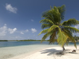 Yandup Island, San Blas Islands (Kuna Yala Islands), Panama, Central America