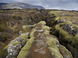 Fault in the Landscape at Thingvellir National Park Near Reykjavik, Iceland