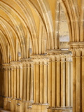 Capitals and Pillars, Royaumont Abbey Cloister, Asnieres-Sur-Oise, Val D'Oise, France, Europe