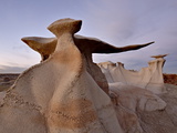 Buy The Wings at Dusk, Bisti Wilderness, New Mexico, United States of America, North America at AllPosters.com