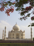 Buy Taj Mahal, UNESCO World Heritage Site, Agra, Uttar Pradesh, India, Asia at AllPosters.com