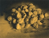 Caracoles