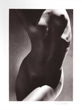 Weiblicher Torso