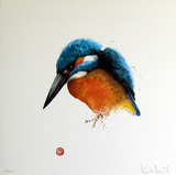 Eisvogel