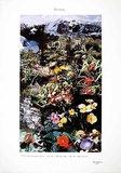 Buy Planet Landscape, c.1997 at AllPosters.com