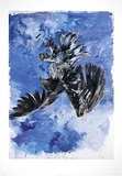 Buy Adler, c.1972 at AllPosters.com
