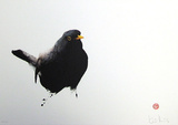 Amsel