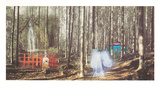 Buy Kumann, c.1998 at AllPosters.com