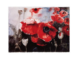 Buy Mohn 2243 at AllPosters.com